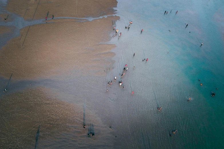 people at a beach standing in the water