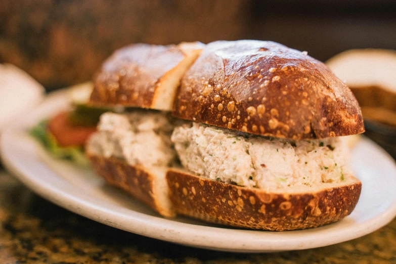 close up of a sandwich on a white plate