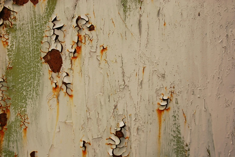 closeup of paint peeling off of a wall