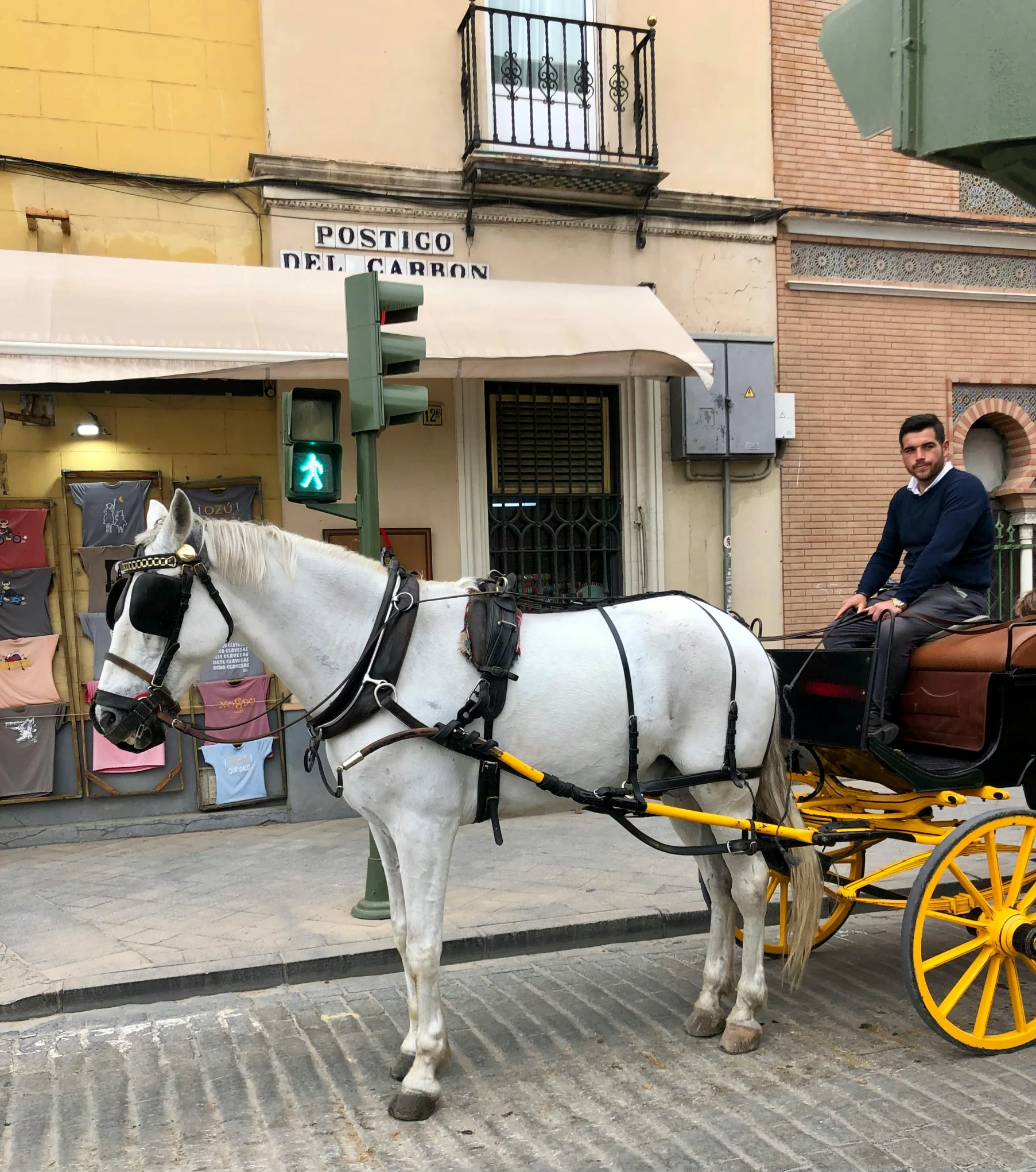 a man sitting in a horse drawn carriage