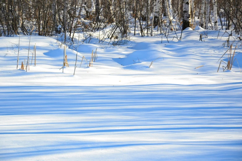 a person riding skis on a snow covered slope