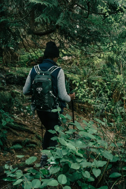a person standing in the woods with a backpack on