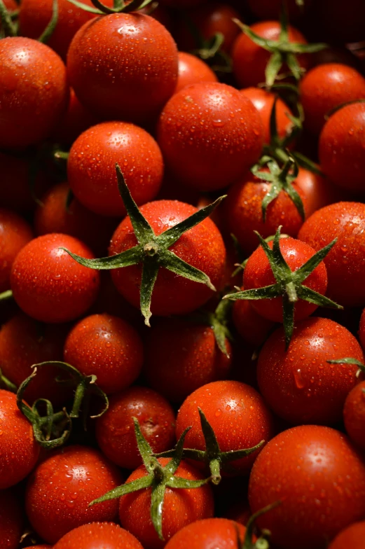 a bunch of tomatoes that are still alive together