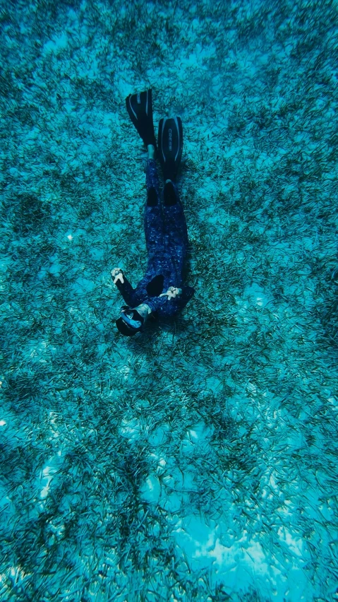 a scuba diver in the ocean looking at the camera