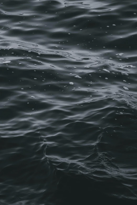 a black and white po of the ocean and some very water droplets