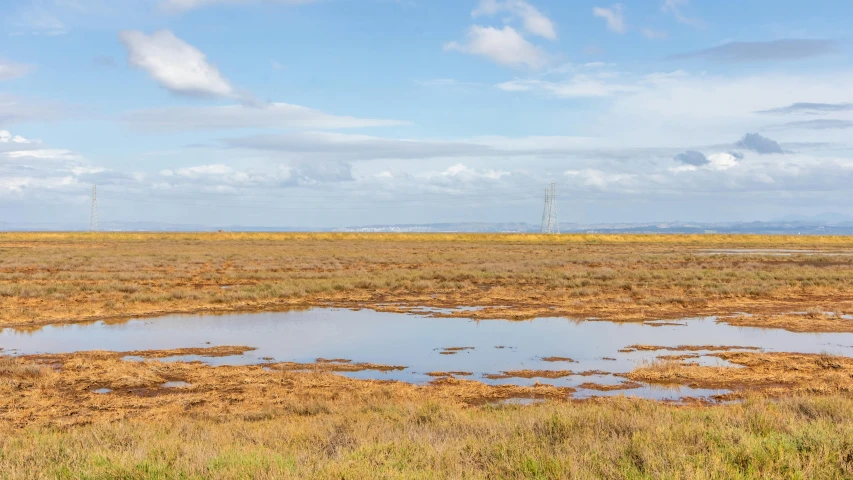 the giraffe is standing by itself in the middle of a vast open land