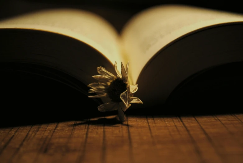 the open book has a flower inside of it