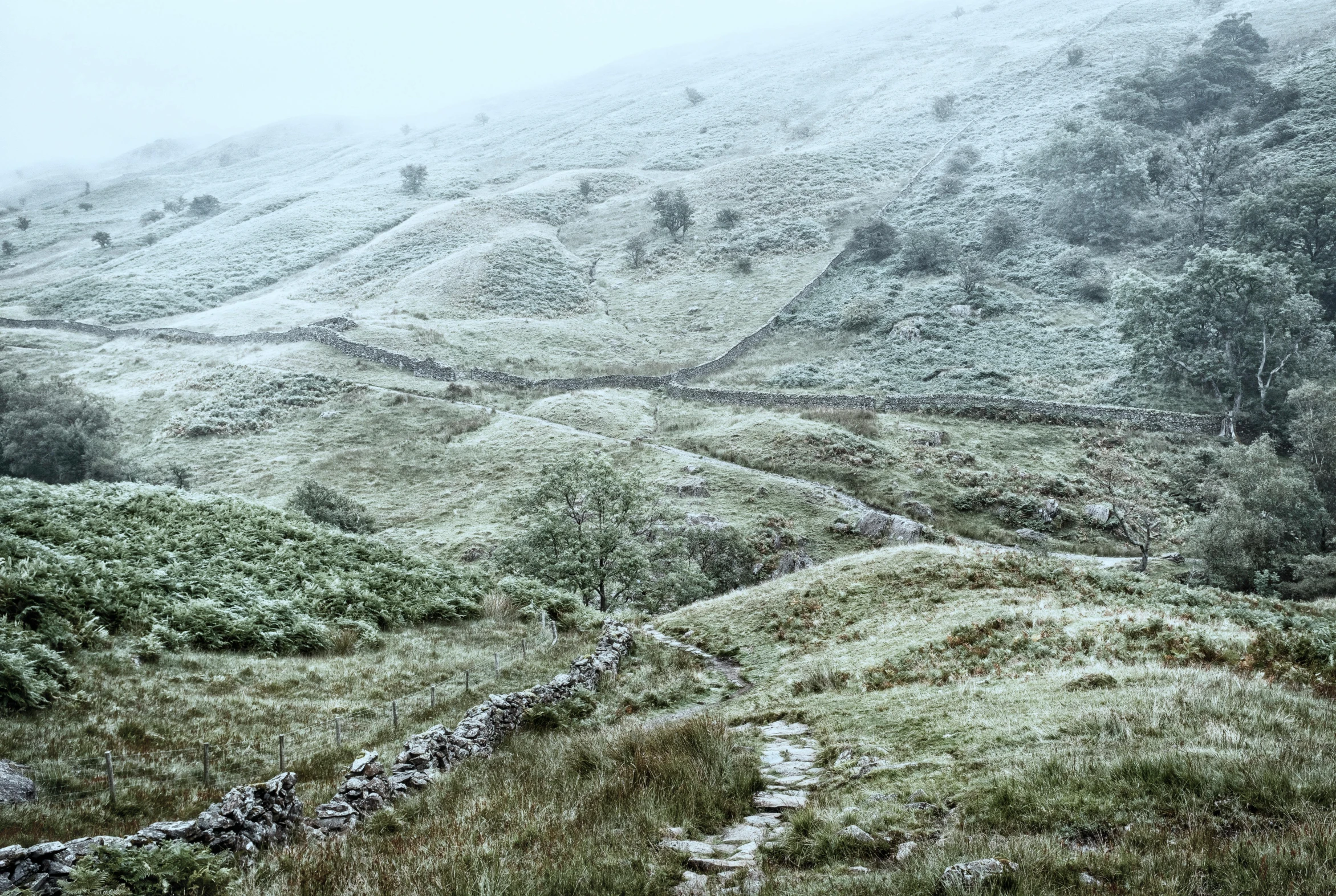 a hillside has very snow on it