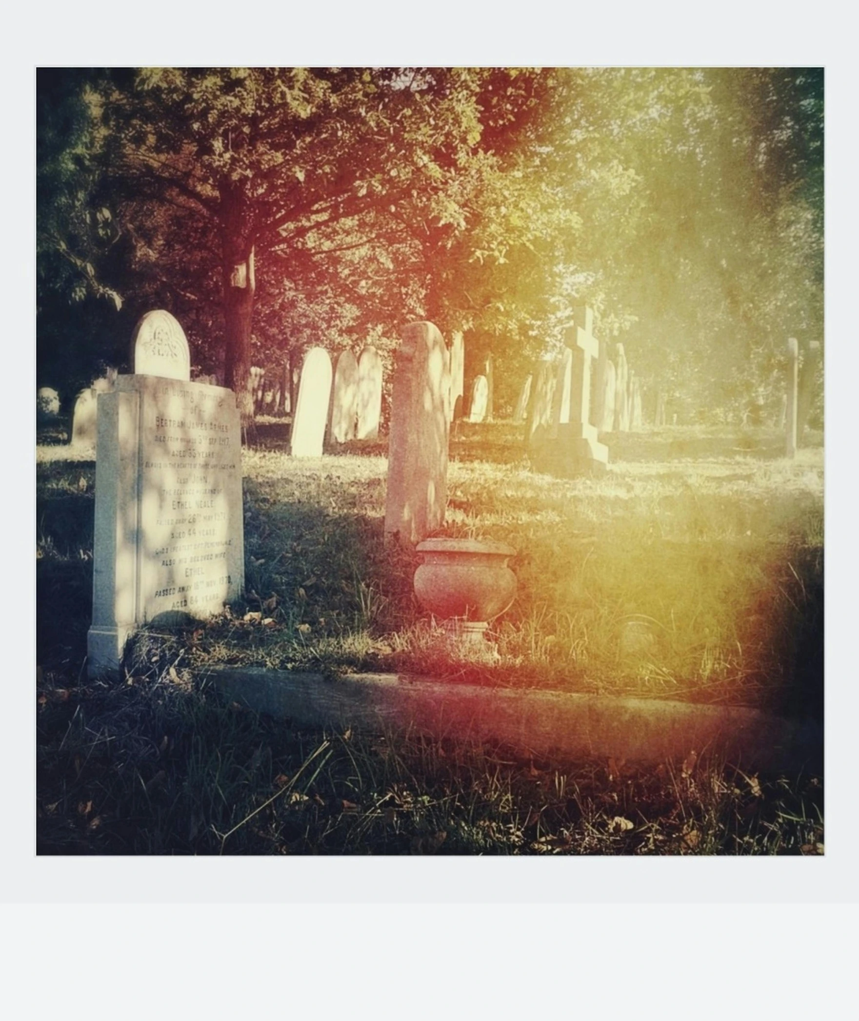 a cemetery surrounded by trees and tombstones with grass