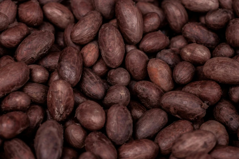 a pile of cocoa beans is shown with only one nut in view