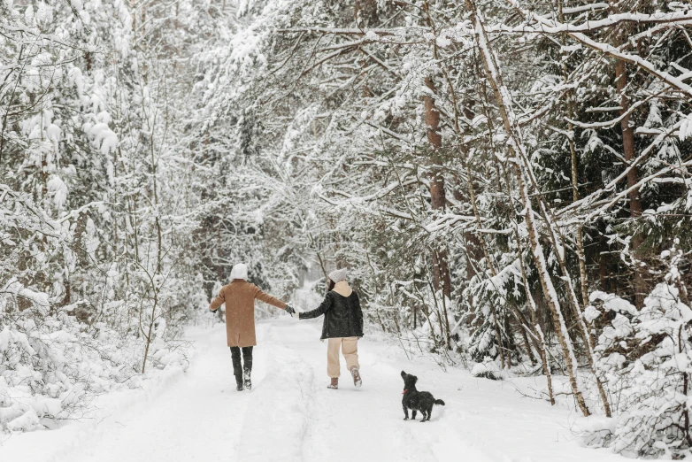 two people walking a dog through the snow