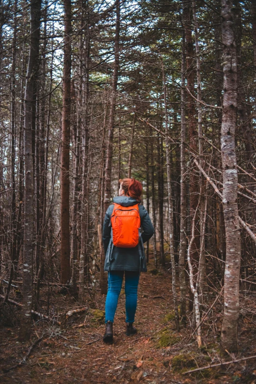 a person walking in the woods with an orange backpack on