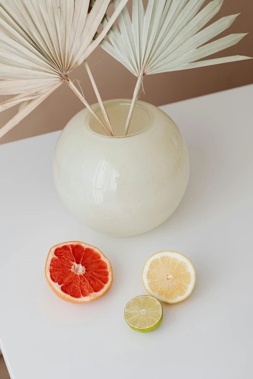 a citrus oranges are placed around a large white vase