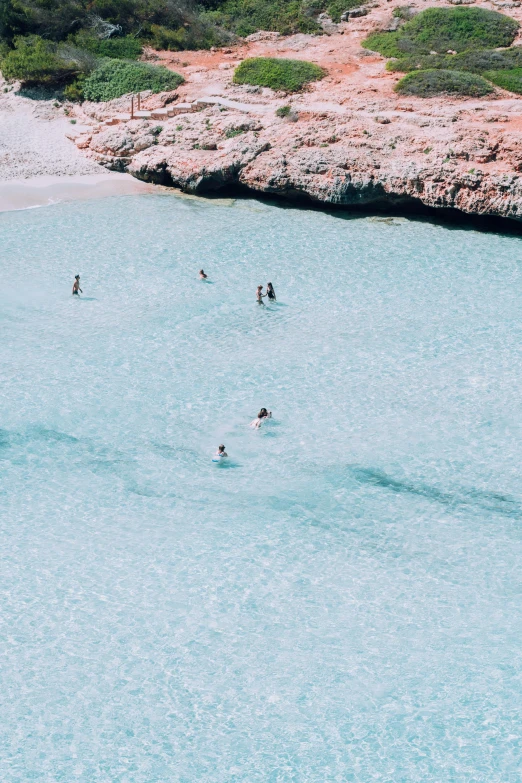 a group of people on skis in water