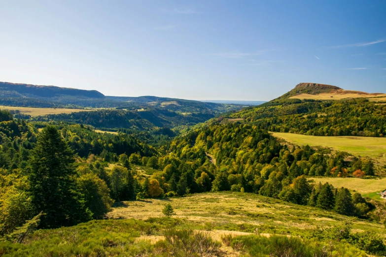 beautiful view of green and leafy hills and meadows