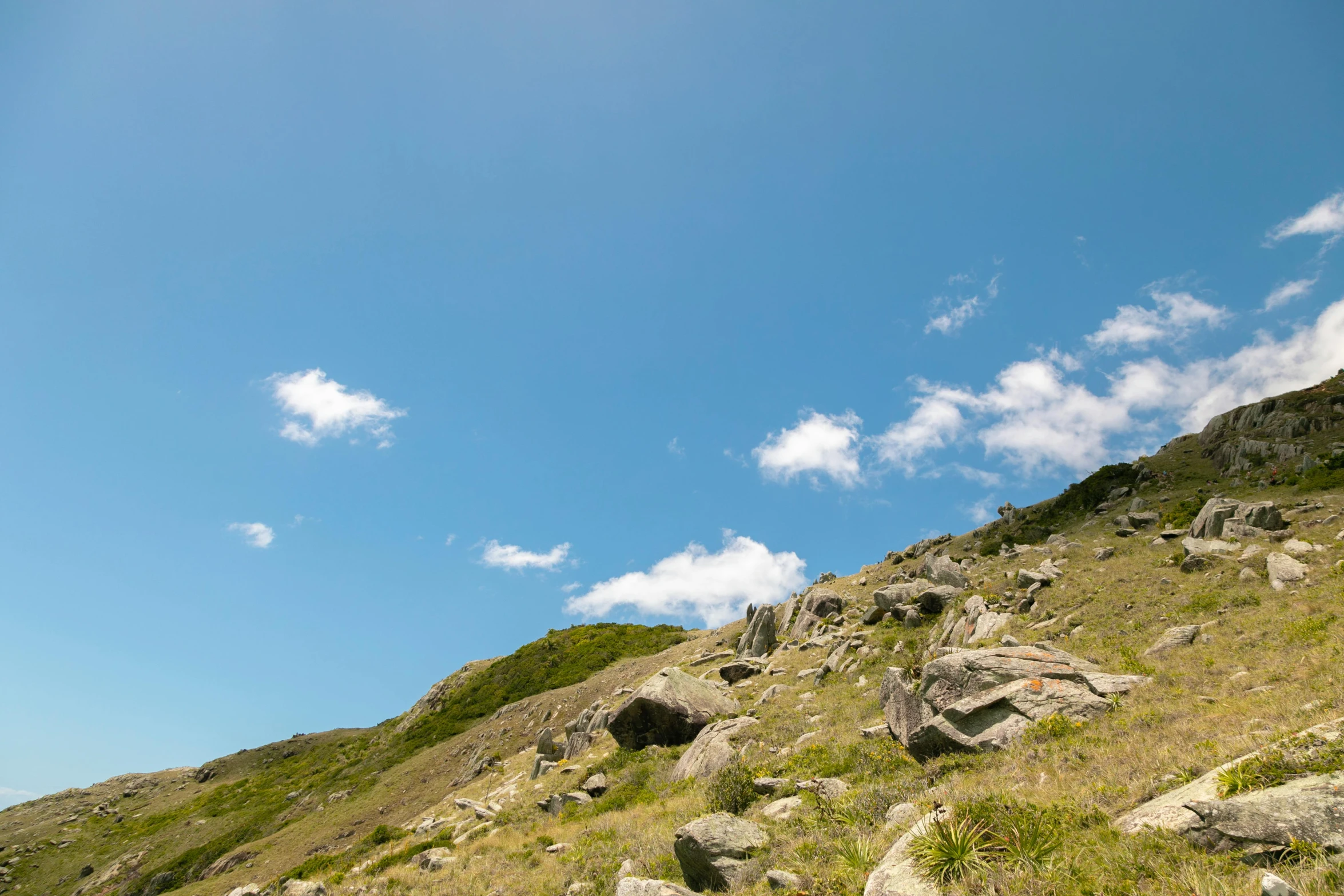 a cow is on the side of a rocky hill