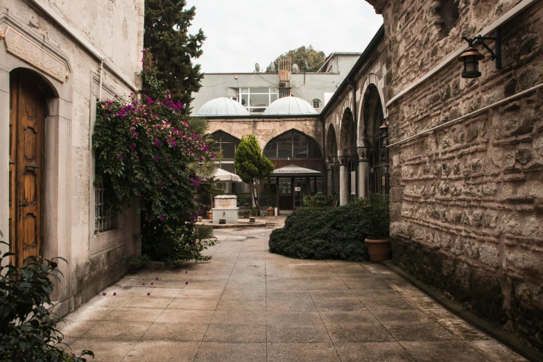 a long narrow cobbled alley with rose bushes and flowers