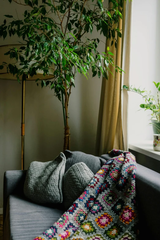 there is a tree next to a couch with some blankets on it