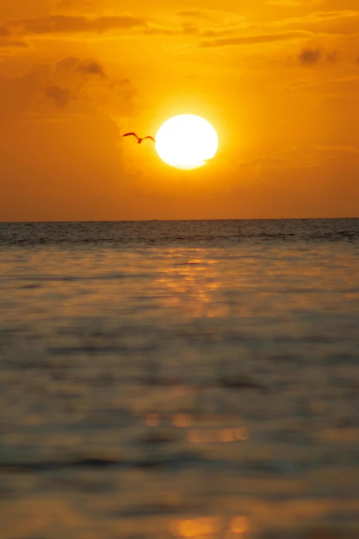 the sun is setting over the water, with birds flying through