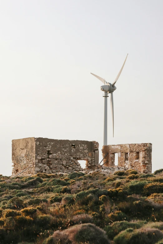 there are windmills in the field with no grass