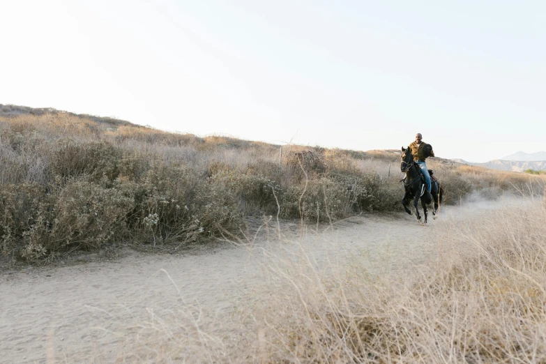 a person riding on a horse through a dry grass field