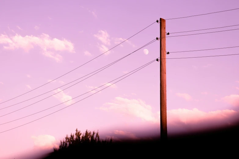 a power line against the purple sky, with a few birds perched on it