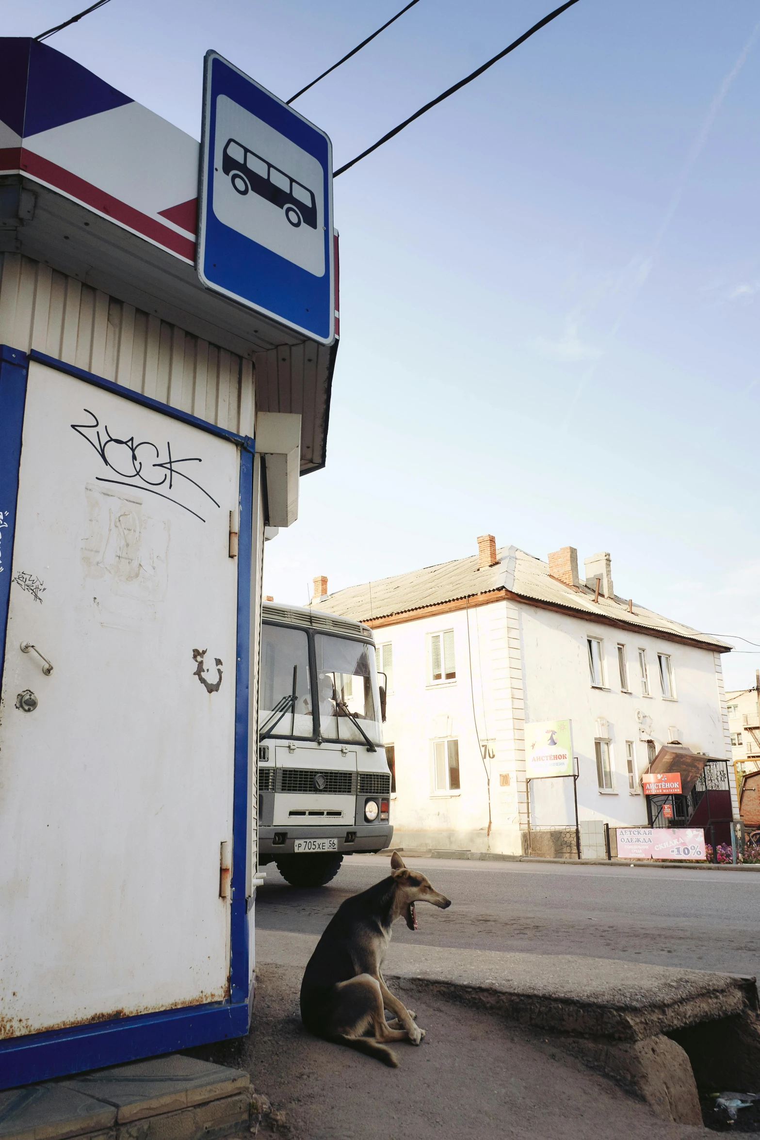 two dogs sit outside a gas station, looking for fuel