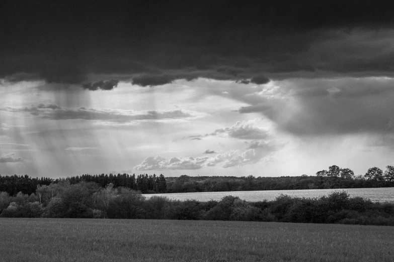 an open field with trees, and cloudy sky in the background