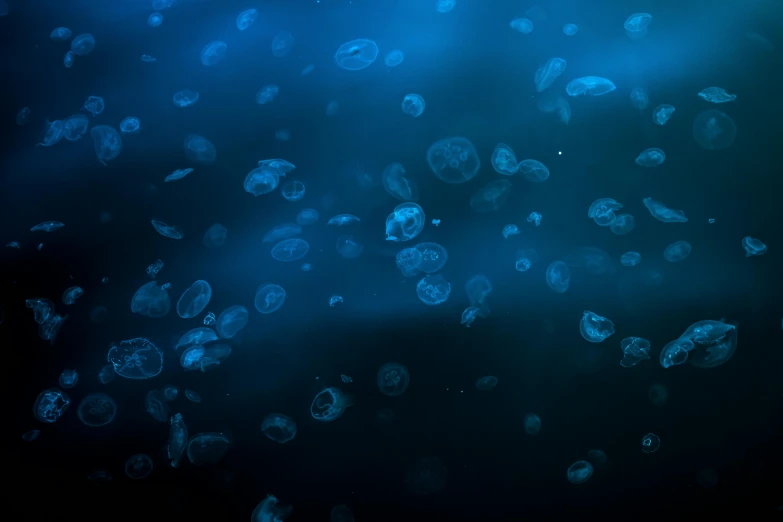 blue and green bubbles of water that are all floating