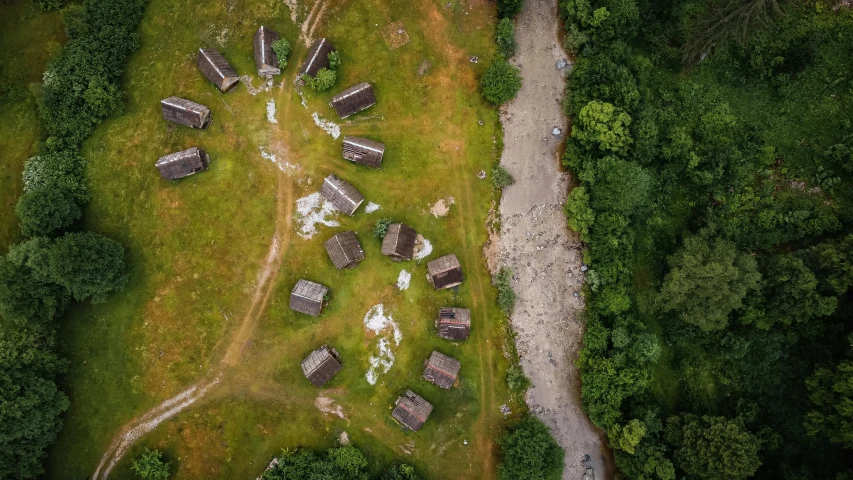 a number of animal structures in a field