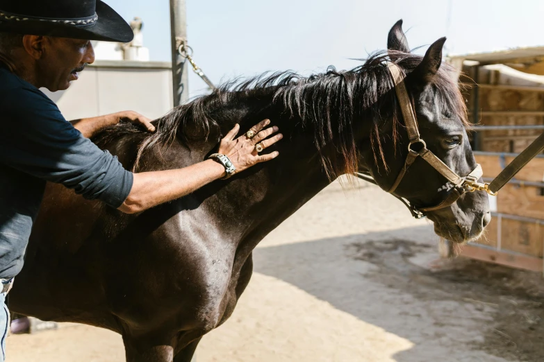 a man in black hat standing next to a brown horse