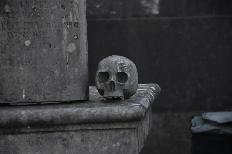 a black and white image of a skull statue