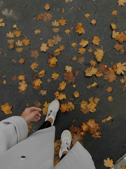 a person wearing white shoes on sidewalk next to leaves