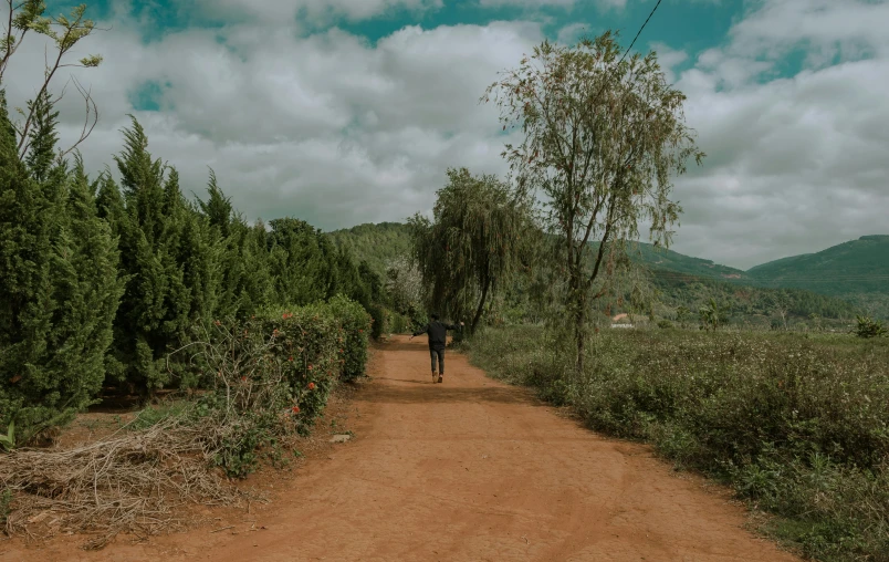 a person walking up a dirt road in the forest