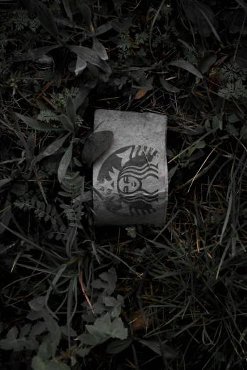 the box is laying in the bushes with graffiti