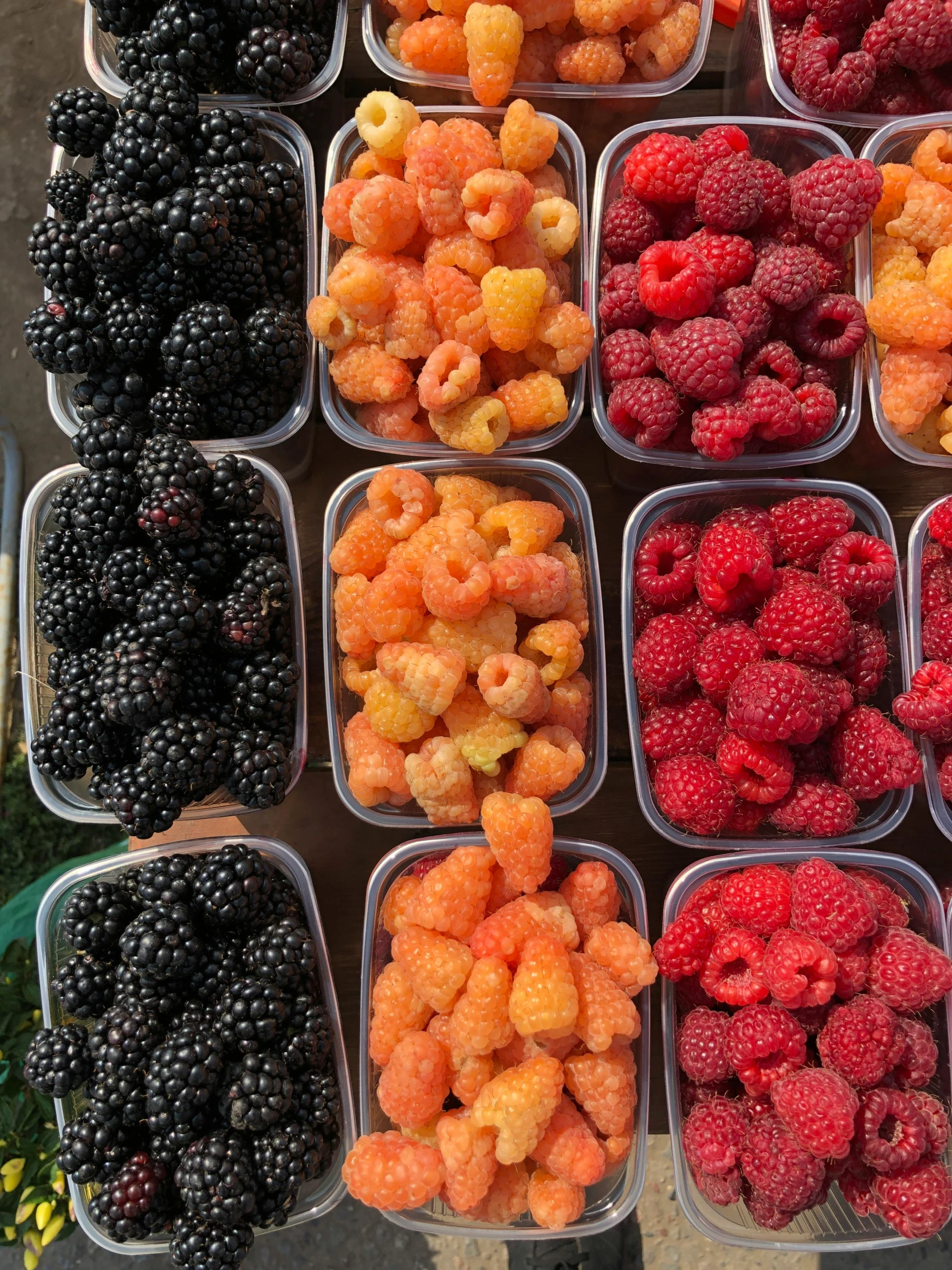 many small plastic containers full of berries, berries and other fruits