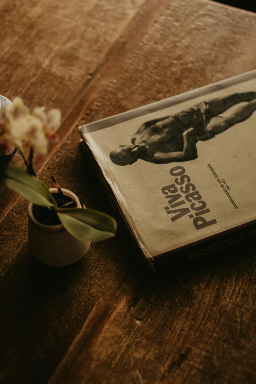 the book, called the mississippi project, is next to a vase with a single flower