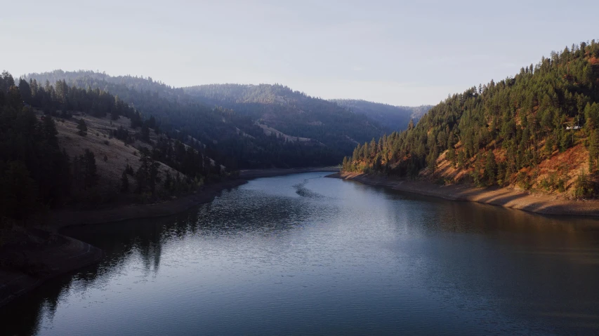 a body of water with many trees around it