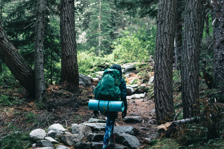 a backpacker walks through a path lined with rocks and trees