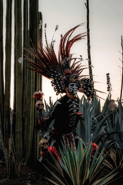 a person in a skeleton suit in front of cacti