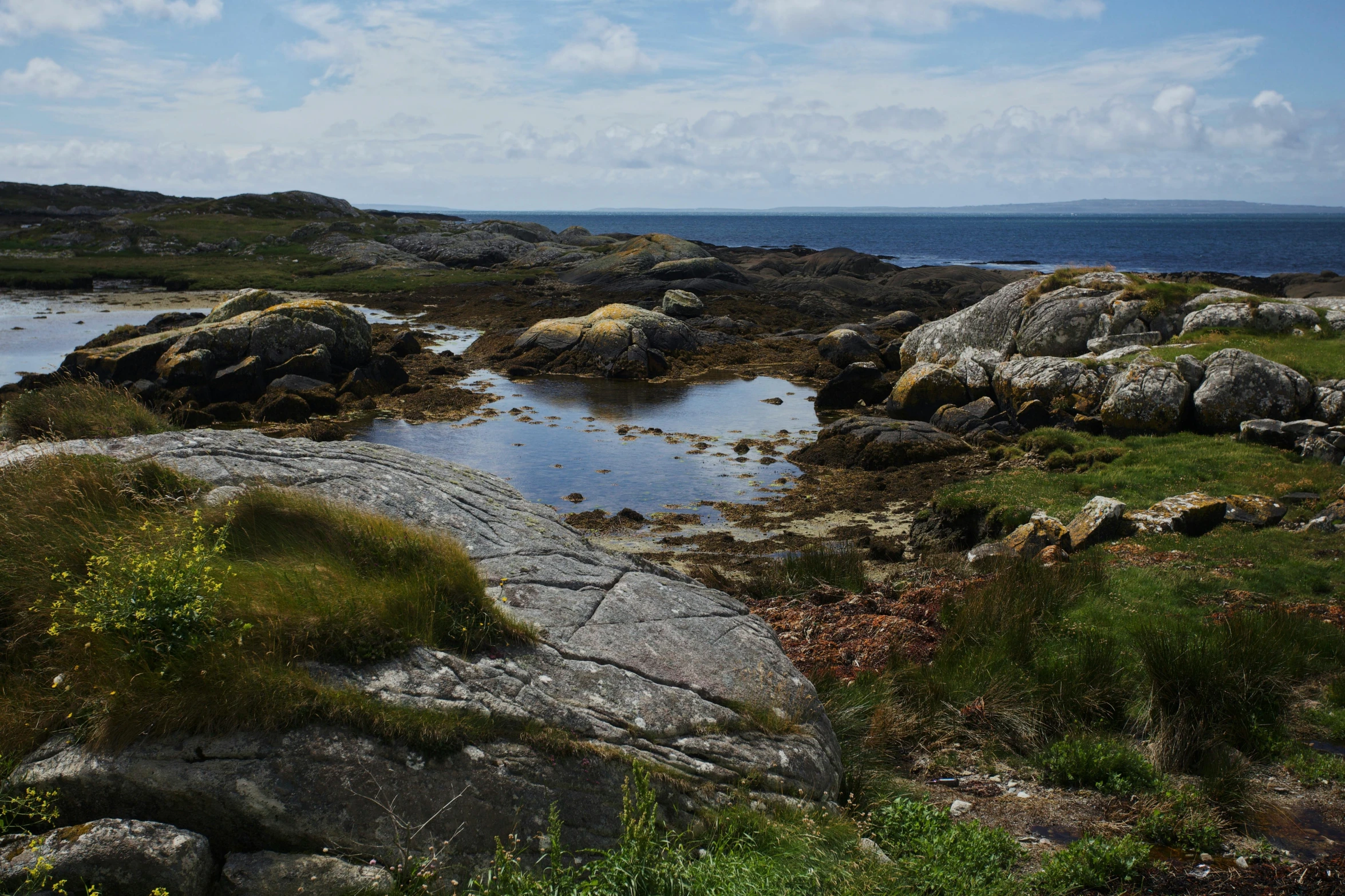 some grass rocks water and some water