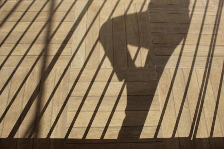 shadows from a railing cast on the wooden planks