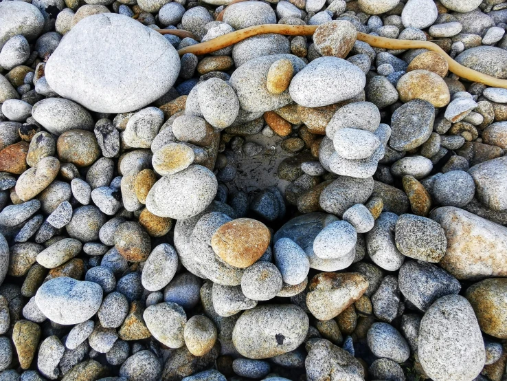rocks with small gravel next to a bush