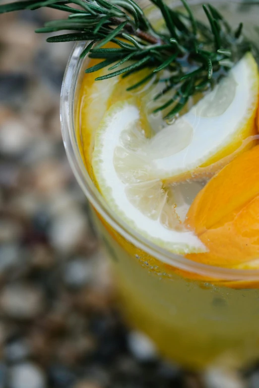 a close up s of a drink garnished with a lime and lemon