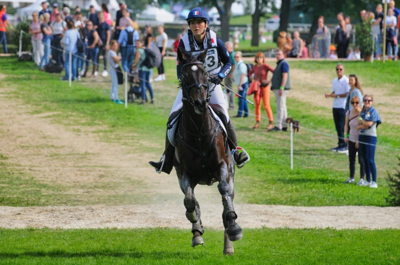 a person on a horse racing down a hill