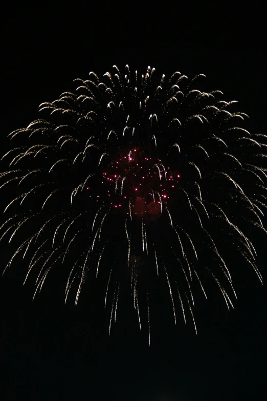 fireworks are being lit up in the night sky