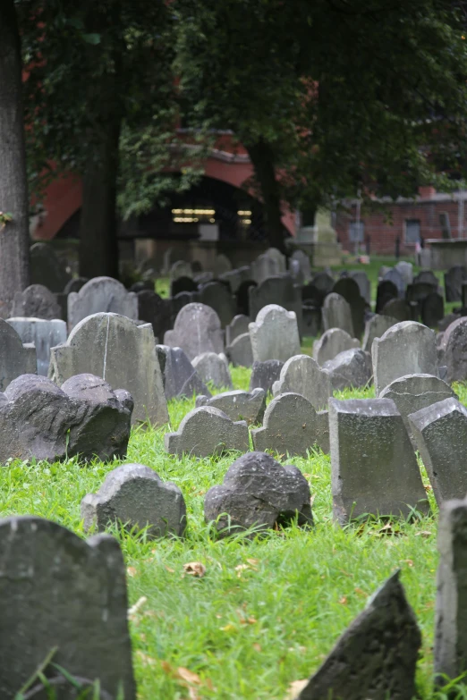 an image of a cemetery setting on grass