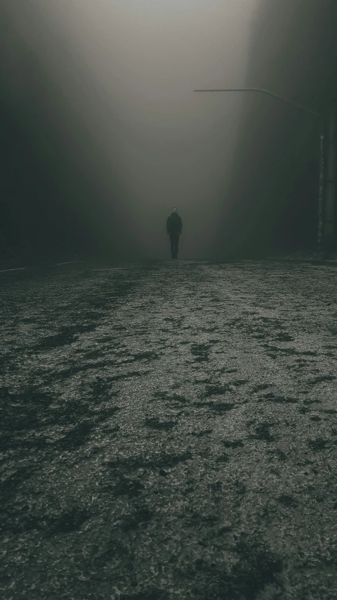 a person stands alone on a beach in a foggy ocean