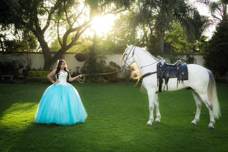 woman dressed in a long blue gown standing next to her horse