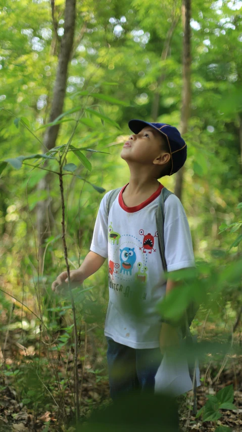 a boy walking in the woods on a sunny day